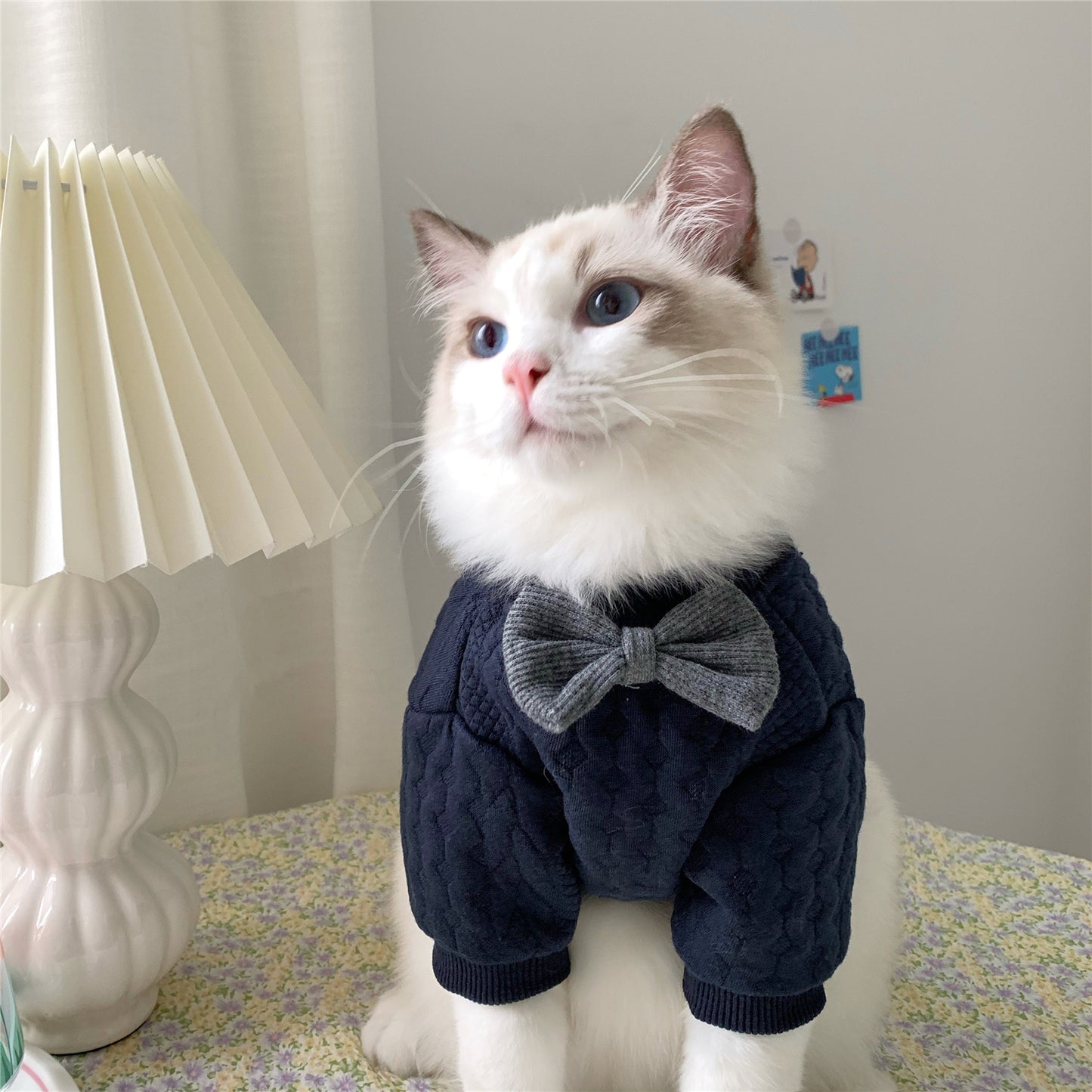 Charming Navy Cable Knit Sweater with Grey Bow Tie For Cats