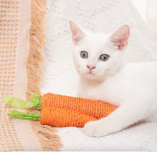 Cat Dental Toy – Fun Carrot-Shaped Toy for Cats, Durable and Engaging