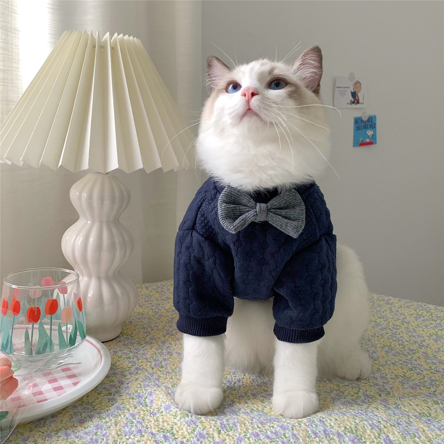 Charming Navy Cable Knit Sweater with Grey Bow Tie For Cats