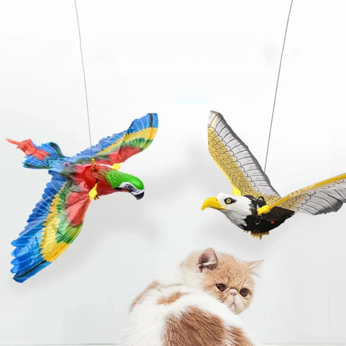 Battery-Operated Flying Bird Cat Toy – Parrot or Eagle with Ceiling Adhesive, Flapping Wings for Interactive Fun