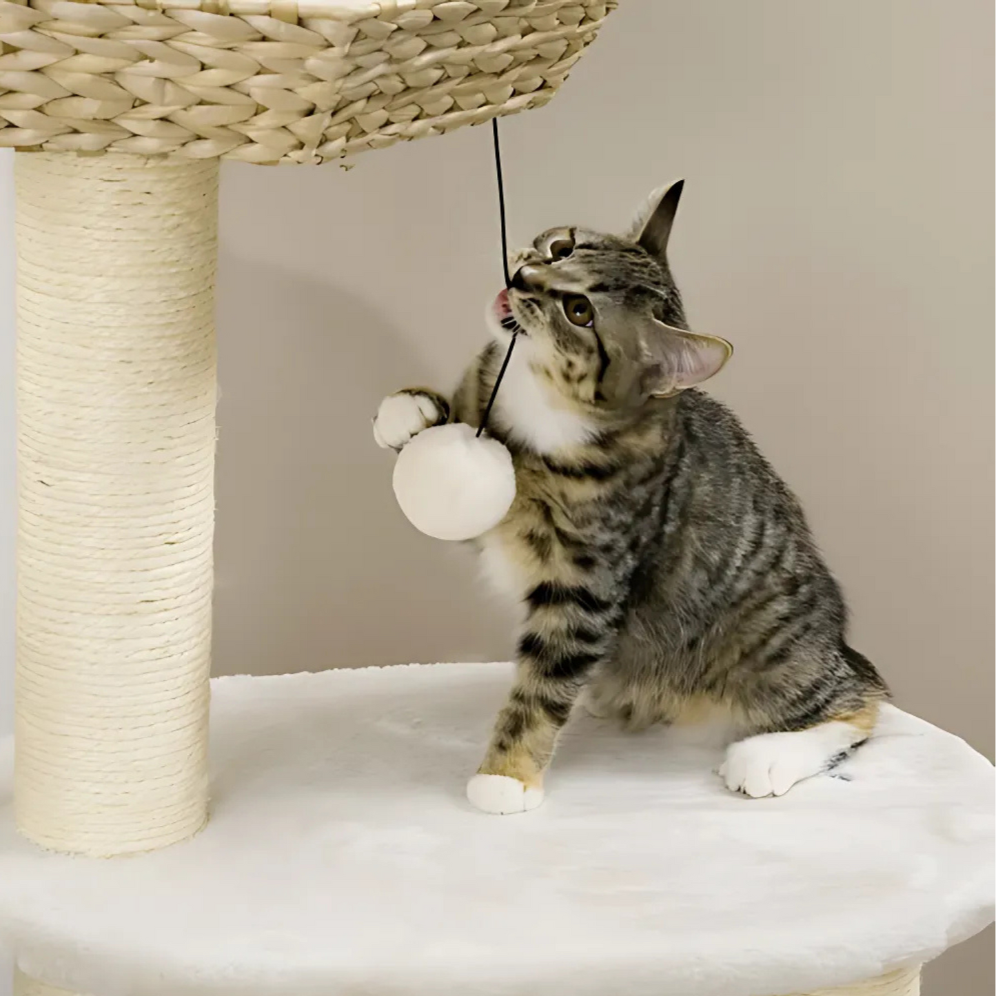 Multifunctional Cat Tree with Sisal Posts, Condo & Hanging Balls – Wicker Detailing & Plush Fabric