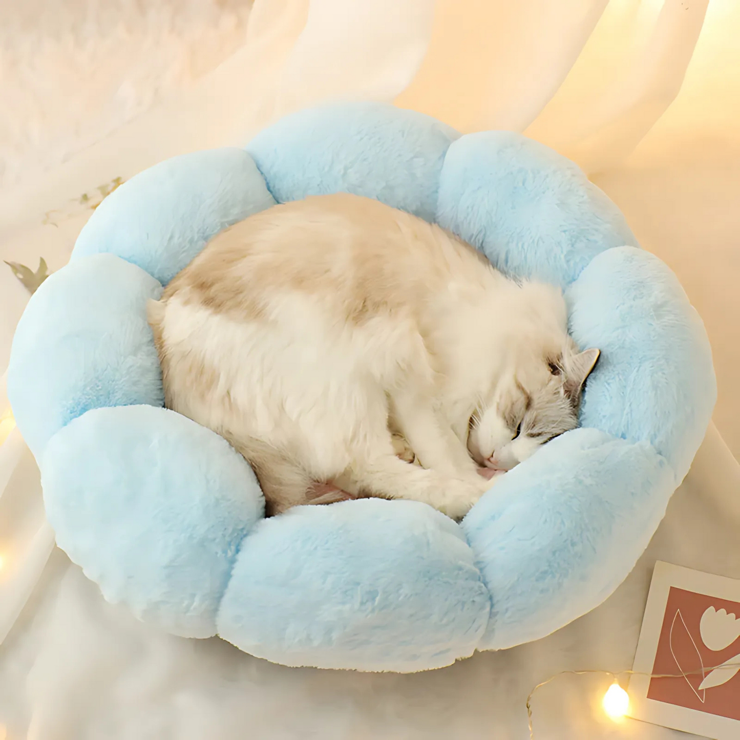 Flower-Shaped Cat Bed – Cozy Circular Design for Comfort & Style