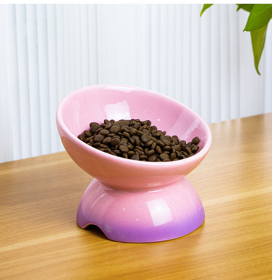 Ombre Ceramic Elevated Cat Food Bowl – Stylish & Functional Design